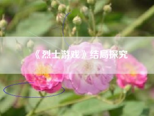 《烈士游戏》结局探究