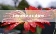 如何录制高清游戏视频