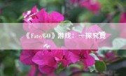 《Fate/GO》游戏：一探究竟