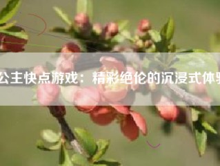 公主快点游戏：精彩绝伦的沉浸式体验