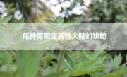 原神探索提瓦特大陆的攻略