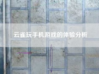 云雀玩手机游戏的体验分析