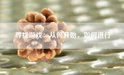 寻找游戏：从何开始，如何进行