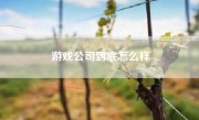 游戏公司到底怎么样