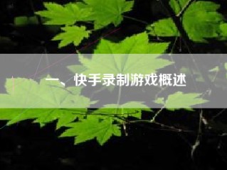 一、快手录制游戏概述