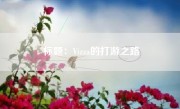 标题：Vizza的打游之路