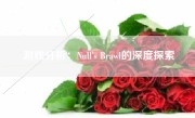 游戏分析：Null's Brawl的深度探索