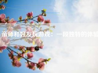 帝师和好友玩游戏：一段独特的体验