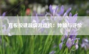 直板按键超级游戏机：体验与评价