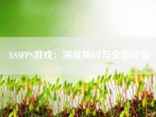 XSSFPS游戏：深度探讨与全面评价