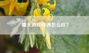 耀天游戏待遇怎么样？