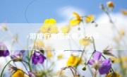 游戏行业猎头收入分析