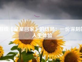 游戏《星星回家》的结局：一份深刻的人生体验