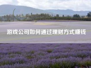 游戏公司如何通过理财方式赚钱