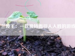 兰陵王：一款独特而引人入胜的游戏