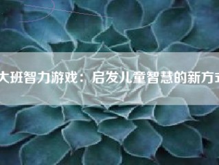 大班智力游戏：启发儿童智慧的新方式