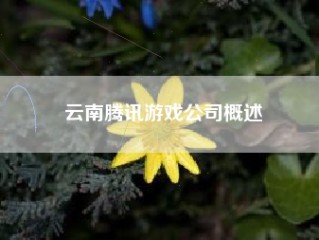 云南腾讯游戏公司概述