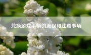 兑换游戏手柄的流程和注意事项