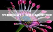 梦幻国际游戏：一场梦幻般的游戏体验