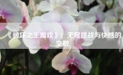 《破坏之王游戏》：无尽挑战与快感的交融