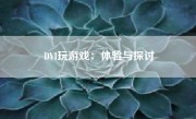 DVI玩游戏：体验与探讨