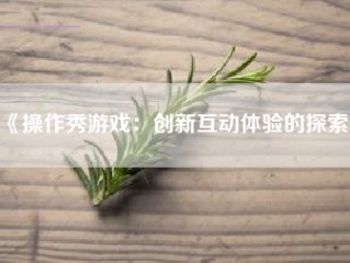 《操作秀游戏：创新互动体验的探索》