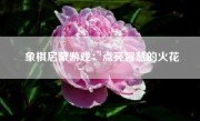 象棋启蒙游戏：点亮智慧的火花