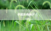 小渡游戏测评