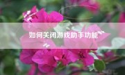 如何关闭游戏助手功能
