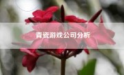 青瓷游戏公司分析