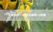 火树游戏：运营的解析与前瞻