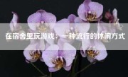 在宿舍里玩游戏：一种流行的休闲方式