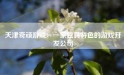 天津奇顽游戏：一家独具特色的游戏开发公司