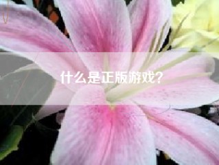 什么是正版游戏？