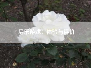 启乐游戏：体验与评价