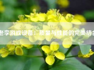 老李游戏设备：质量与性能的完美结合