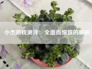 小杰游戏测评：全面而细致的解析