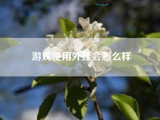 游戏使用外挂会怎么样