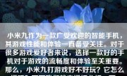 小米九作为一款广受欢迎的智能手机，其游戏性能和体验一直备受关注。对于很多游戏爱好者来说，选择一款好的手机对于游戏的流畅度和体验至关重要。那么，小米九打游戏好不好玩？它怎么样呢？下面我们就来详细分析一下。