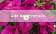 先锋：这款游戏评价如何？