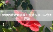 梦想养成计划游戏：塑造未来，从今天开始