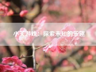 小关游戏：探索未知的乐趣