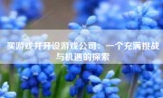 买游戏并开设游戏公司：一个充满挑战与机遇的探索