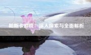 帕斯卡游戏：深入探索与全面解析