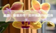 标题：猫猫游戏：如何快速升级指南