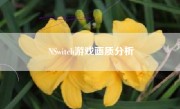 NSwitch游戏画质分析