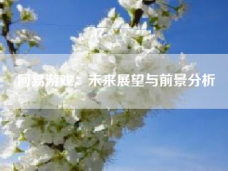 网易游戏：未来展望与前景分析