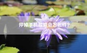 停掉手机游戏会怎么样？