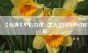 《死神》单机游戏：生死交织的奇幻冒险