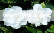 银轴游戏：一场沉浸式体验的探索